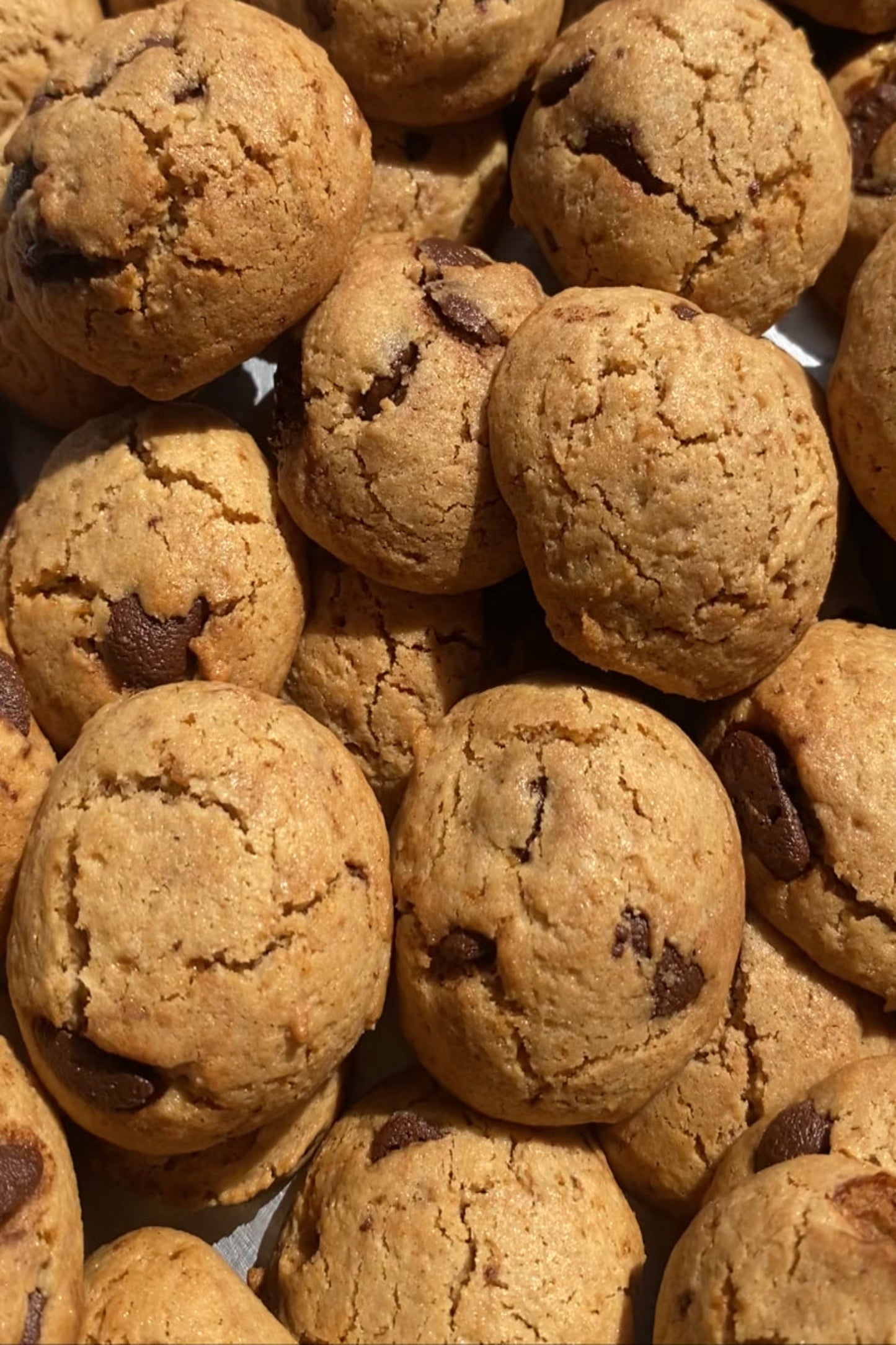 Chocolate chips cookies with Brown rice flour (جلوتن فرى)كوكيز الارز البني وحبوب الشيكولاتة
